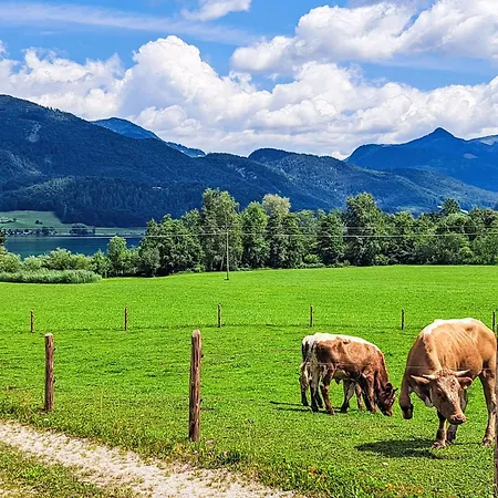 Apartment Garten 2 Seeblick By Interhome