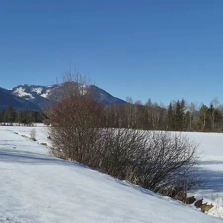 Garten 2 Seeblick By Interhome Strobl