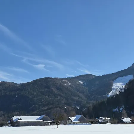 Garten 2 Seeblick By Interhome Strobl