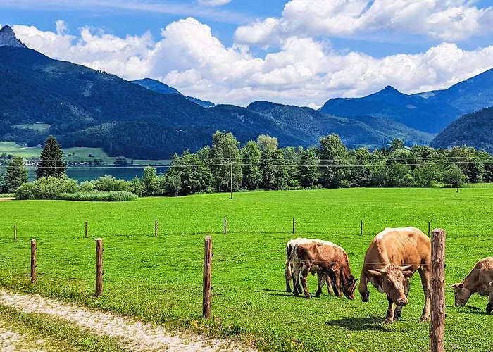 شقة Garten 2 Seeblick By Interhome