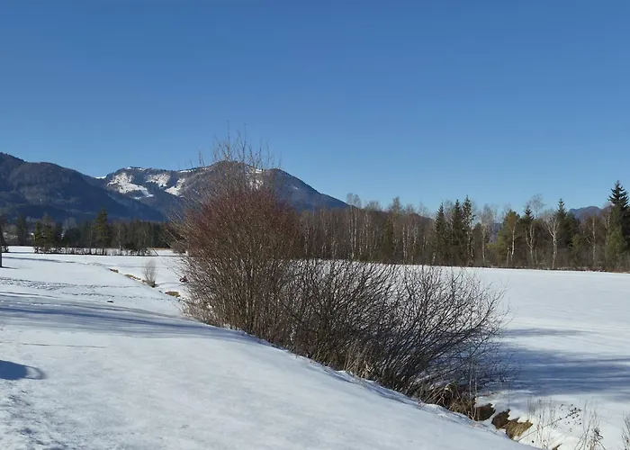 Garten 2 Seeblick By Interhome Strobl