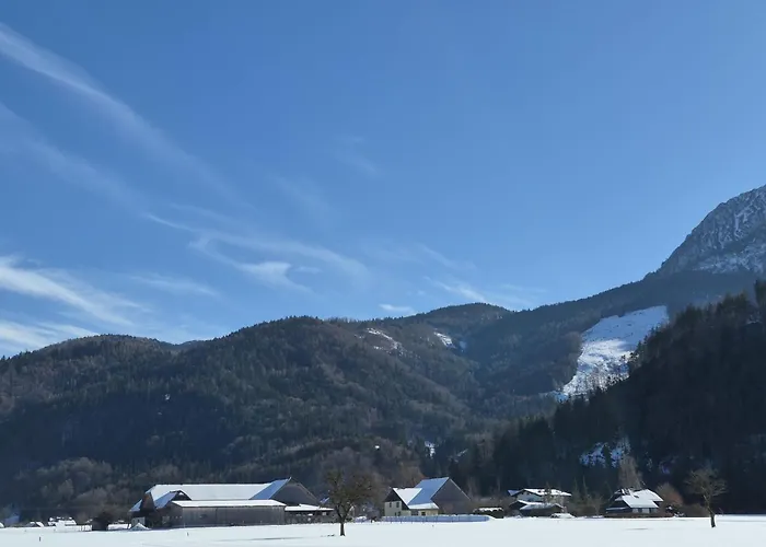 Garten 2 Seeblick By Interhome Strobl